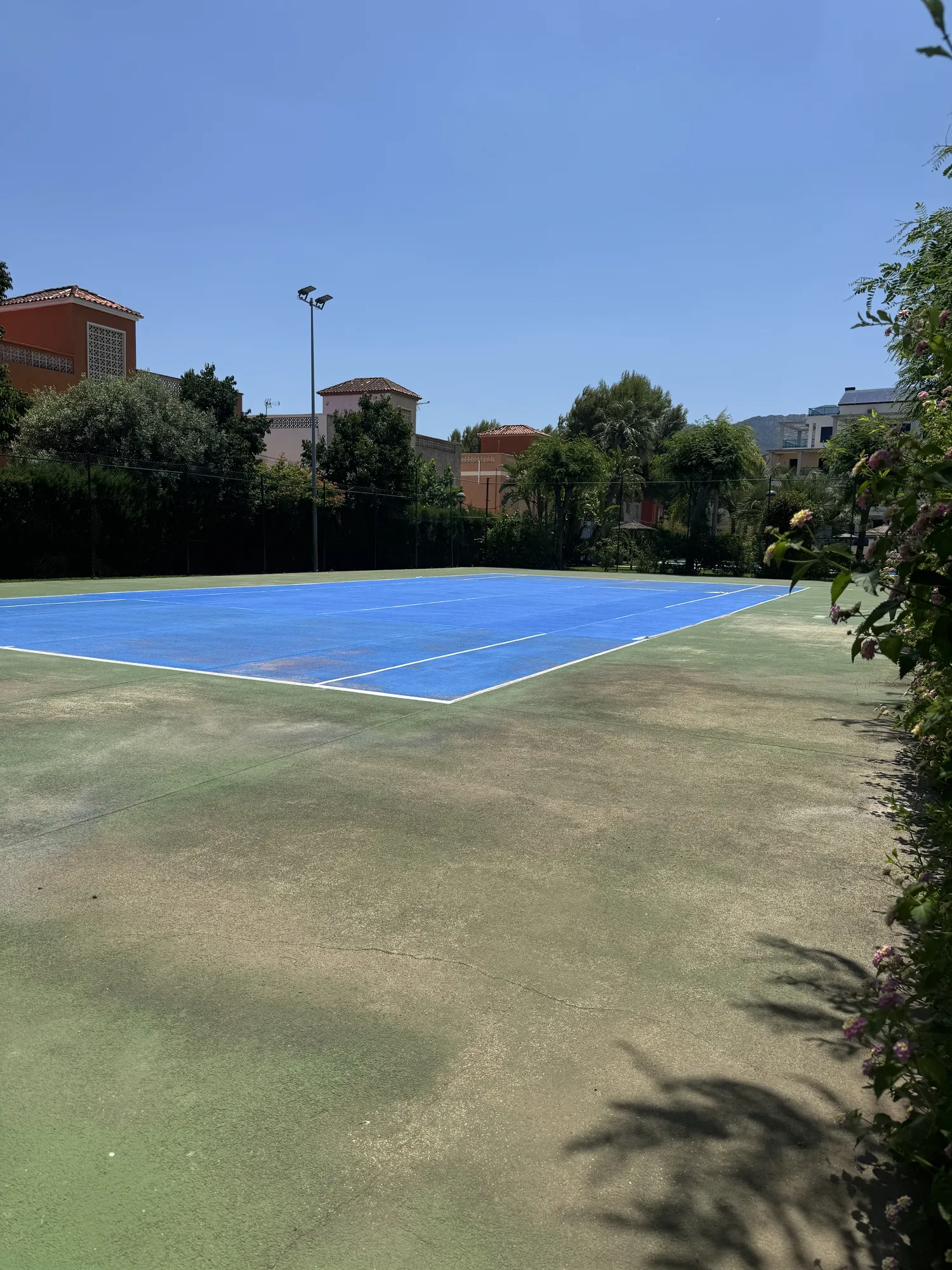 IMG_1189.HEIC